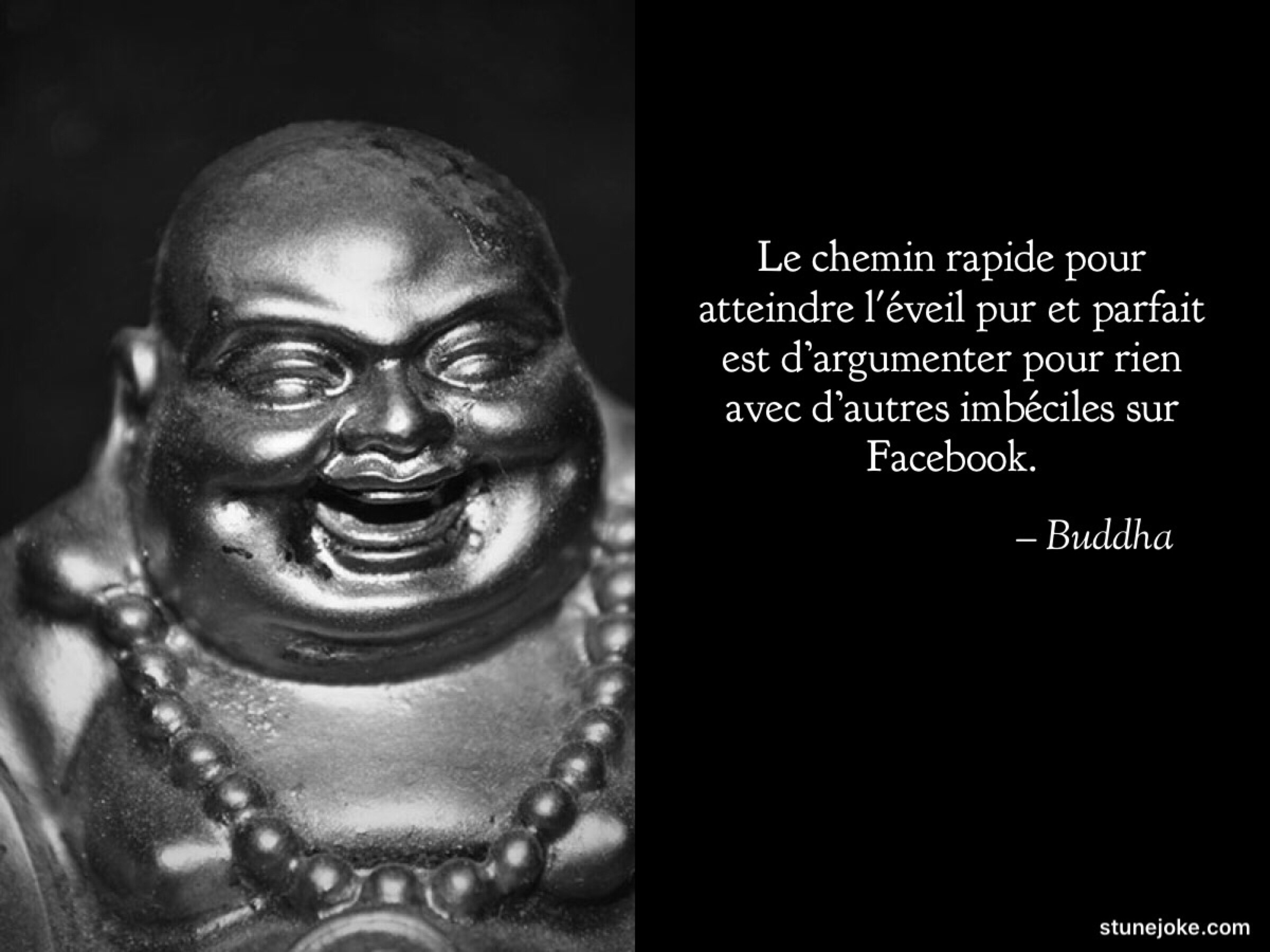 Buddha: Le chemin rapide de l’éveil pur et parfait 2018…