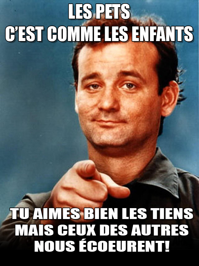 Les pets c’est comme les enfants